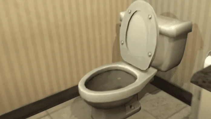 Skibidi tojlet: najpoznatija WC šolja na svetu